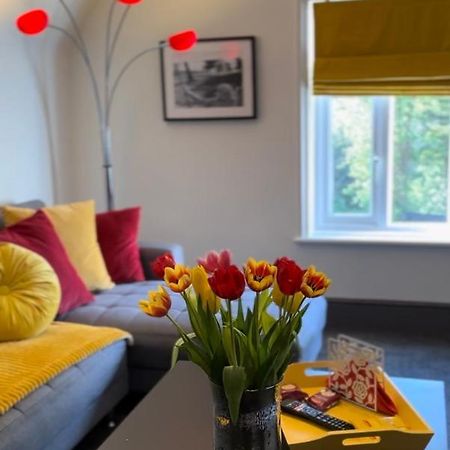 Green Corner Villa - No.5 Walls Hill Apartment 토키 외부 사진